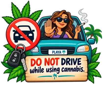 An illustrated no-cars symbol, a car key, and a wooden sign reading DO NOT DRIVE while using cannabis, next to a car